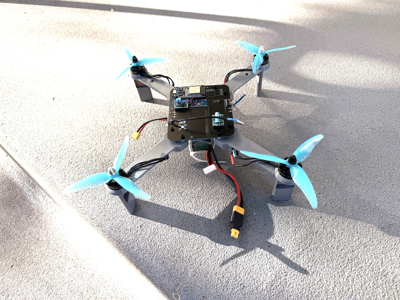 Autonomous Drone